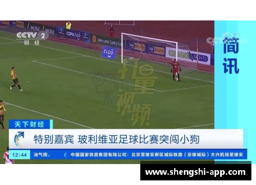 盛世app下载玻利维亚足球新星：探索南美天才球员的成长之路 - 副本